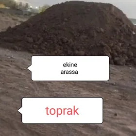 miti sement ders gum toyun гум