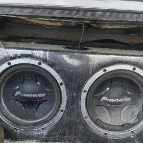 pioneer 900 lik bocka