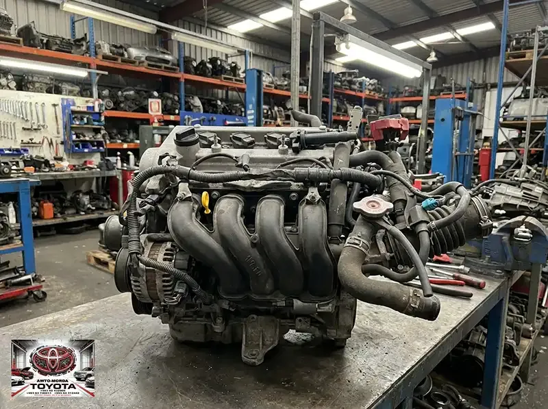 Toyota Awto Morda Gallery 16