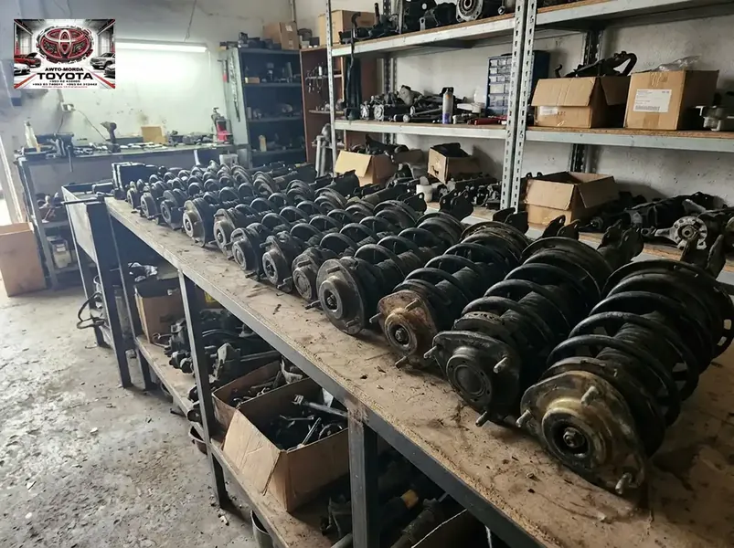 Toyota Awto Morda Gallery 13