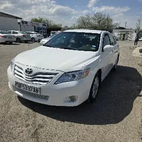Toyota Camry 2010