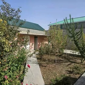 Kone Gami plan 5 kom