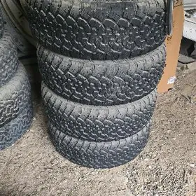 Pokrishka 265 65 17