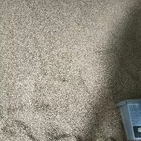 At Goýun Geçi üçin arpa