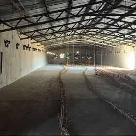 SATLYK FERMA  ON ALDY