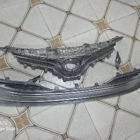 2020 cemry abilsofka