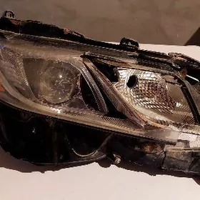 Faralar 18,24 aralyk