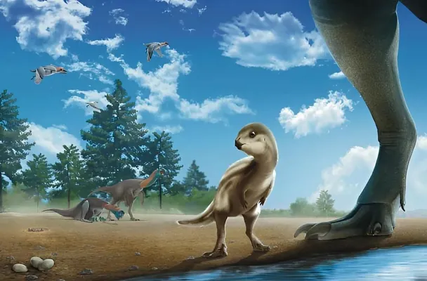 Paleontologlar hindi towugynyň ululygyndaky, daşlary ýuwdup bilen dinozawryň täze görnüşini tapdylar