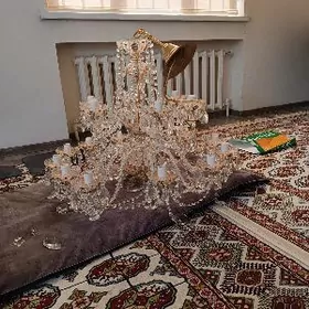 лйустере чехскы