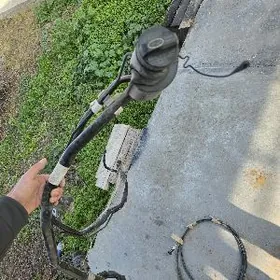 karolla garlawina 2014