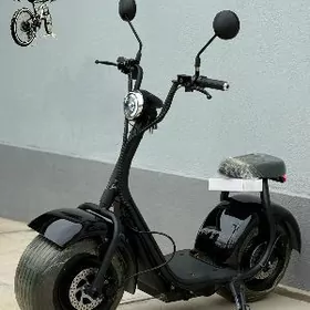 TOKLY SKUTER MATOR TIGIR SIGWY