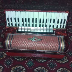 Аккордеон