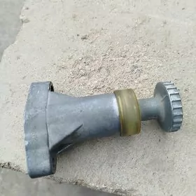 кат паткачка