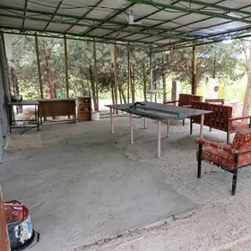 ARENDA JAY EYESINDEN 