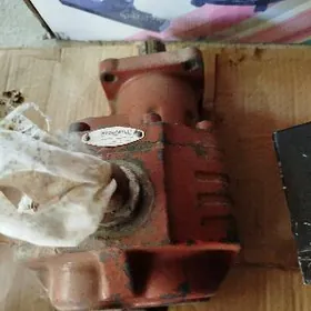 Wolwa mana degisli pircebe