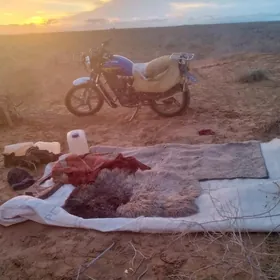 Fekon FK200-14G 2018