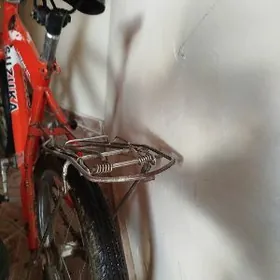 Suzuka Tigir (çaga)