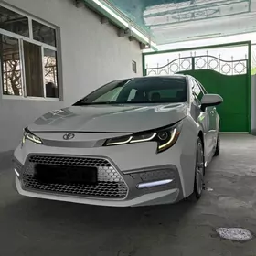 Toyota Corolla 2019