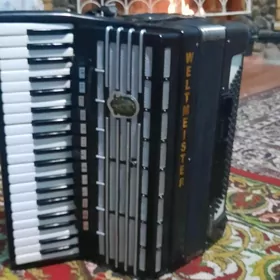 АККОРДИОН СУПИТА 5 WELTMEIZTER