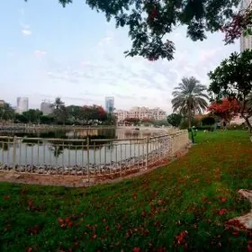 Ucastga Howly Jay Satlyk