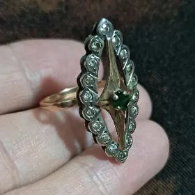 gyzyl gadymy orsynky