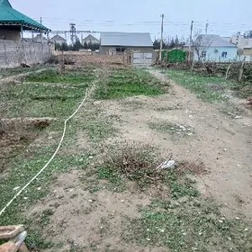 Melek yer bos 8 sotyk