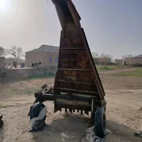 Kir palta, ot üweýän