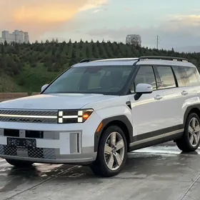 Hyundai Santa Fe 2024