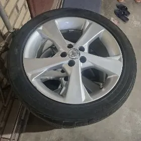 karola exclusiv diska teker