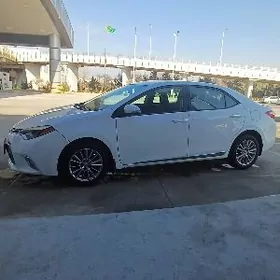 Toyota Corolla 2014