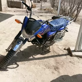 Fekon FK200-14G 2017