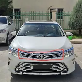 yewropeyka obilsowka nikl