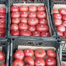 Parnik Garahan zenan gerek