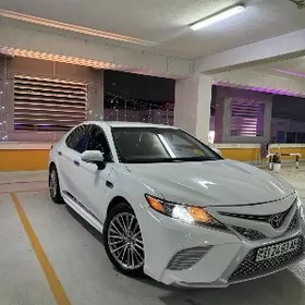 Toyota Camry 2020
