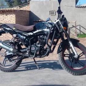 Fekon FK200-14G 2023