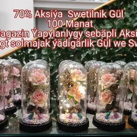Solmajak Gül we Swetilnik