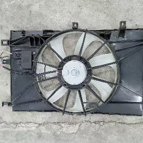 wintilyatyr 2021 korolla