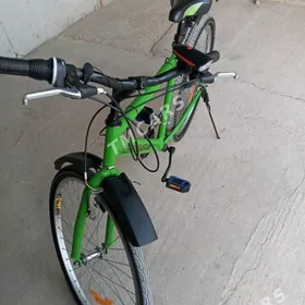 Wellik Türkmenistan