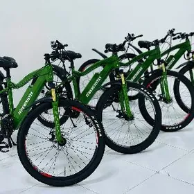 TOKLY TURKMENISTAN TIGIR SKUTR