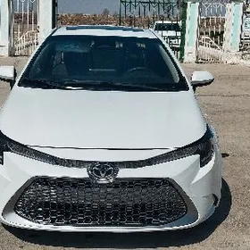 Toyota Corolla 2024