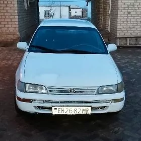 Toyota Corolla 1993