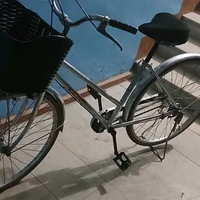 T I G I R... YAPOSKA...