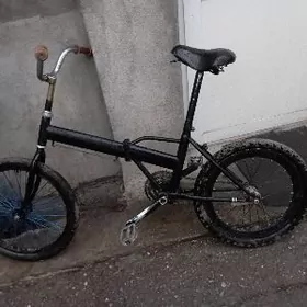 tigir kama  welik uly