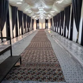 Taze gummez han palatkalar toy