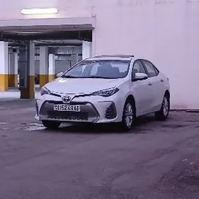 Toyota Corolla 2019