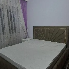 Arenda jay Gurtly Elitka