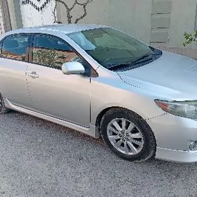 Toyota Corolla 2010