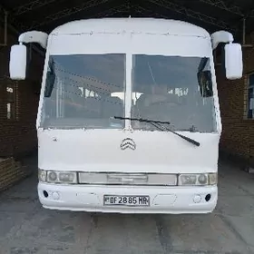 Golden Dragon XML6125CC 2007