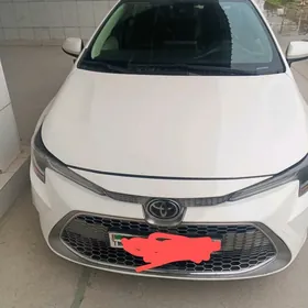 Toyota Corolla 2021