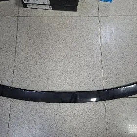 Kemri Arginal spoler 2018.2024